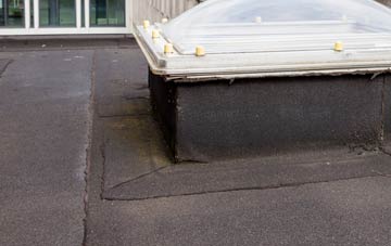 disadvantages of Paulville flat roofs