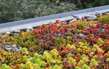 the cost of Paulville green roof installation