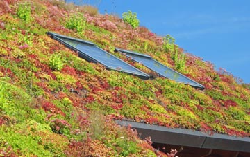 Paulville living roof systems