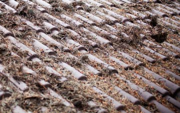 Paulville roof cleaning companies