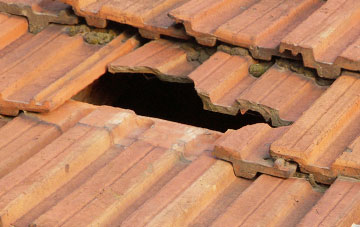 roof repair Paulville, West Lothian