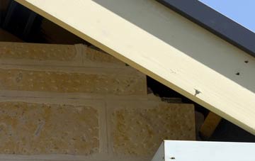 soffit repair Paulville