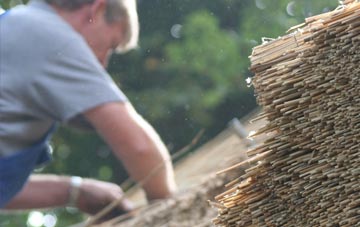 professional Paulville thatchers