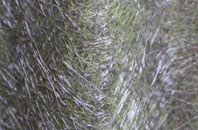 Paulville fibreglass roof work